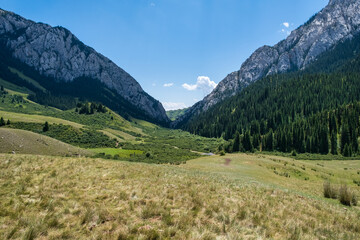 Obraz premium alpine meadow in the mountains
