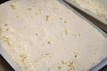 The process of making mozzarella, ricotta. Close-up of filled cheese molds.