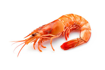 Red cooked tiger king prawn or shrimp isolated on white background with clipping path
