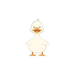 little duck
