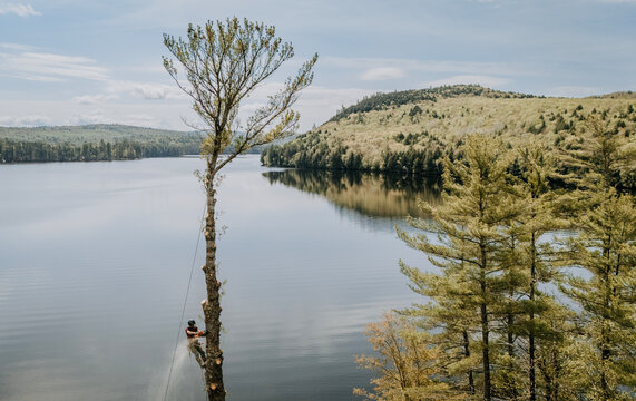 Logger cuts off top of tree next to beautiful lake in Maine