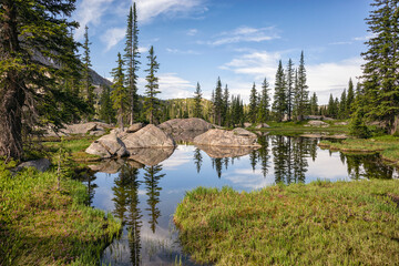 Serene alpine lake with trees and rocky reflections