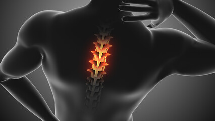 Human body showing spinal pain against a Gray background