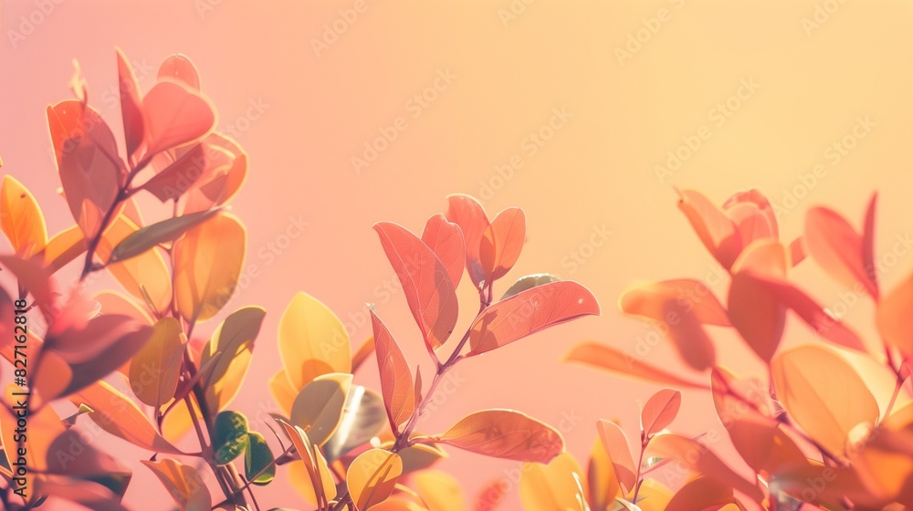 Poster aesthetic and beautiful minimalism background featuring nature-based elements, showcasing a serene a