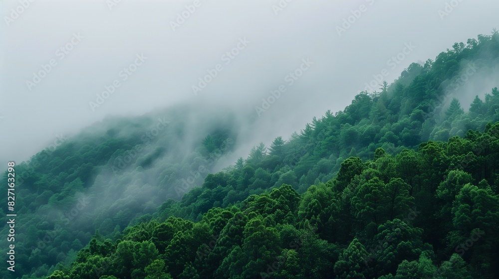 Poster aesthetic and beautiful minimalism background featuring nature-based elements, showcasing a serene a