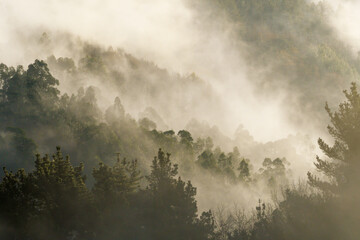 Foggy sunrise in the mountains