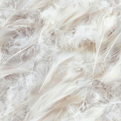 Close-up shot of soft feather details, capturing the delicate wisps and natural textures, ideal for detailed ornithological studies