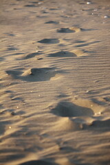 Divots in the sand. Photo taken in New Zealand, 2020.
