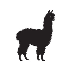 Fototapeta premium Modern Alpaca silhouette vector for web and print Alpaca illustration 