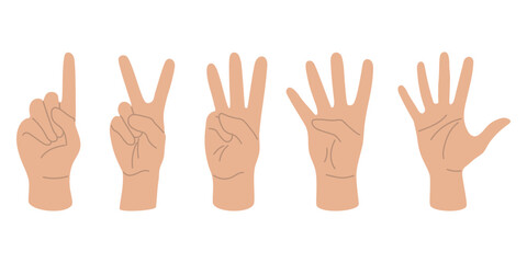 Fingers show numbers, set of human hands flat design hand drawn, vector illustration