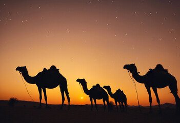 Landscape with the silhouettes of a group of camels in the desert in the evening