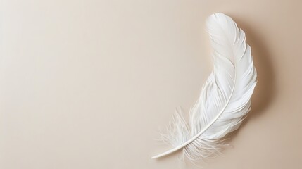 Obraz premium Single White Feather Resting on Beige Surface