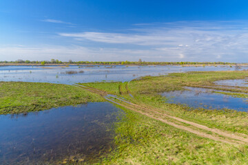 Flooded area near the Dnieper River in spring