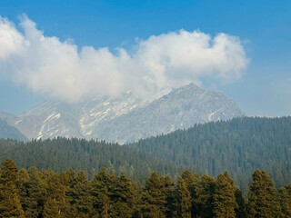 Discovering the Snow-Clad Splendor - Baisaran Valley, Pahalgam, Kashmir, India