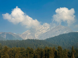 Obraz premium Exploring the Unparalleled Beauty of Baisaran Valley, Mini Switzerland of Kashmir, Pahalgam, India