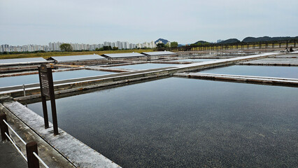 photographs of sea salt production salt fields