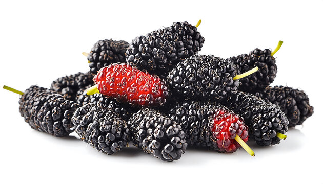 Black mulberries on an isolated white background