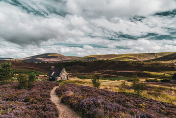 Naklejka premium Paysage écossais