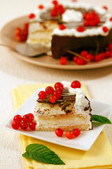 Cream tart with chocolate and red currants.