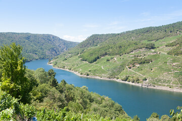 Vineyards landscape from Ribeira Sacra wine area, Galicia, Spain