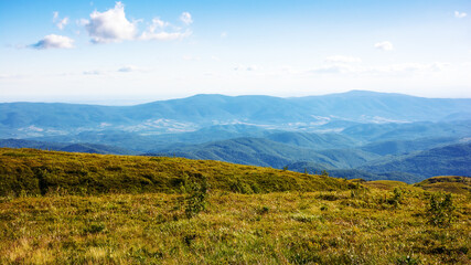 alpine grassy meadow in evening light. beautiful mountainous landscape of ukrainian carpathians in summer. rolling scenery with stunning view in to the distant rural valley