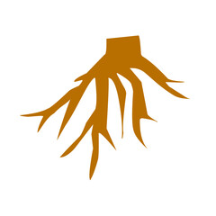 Brown tree root