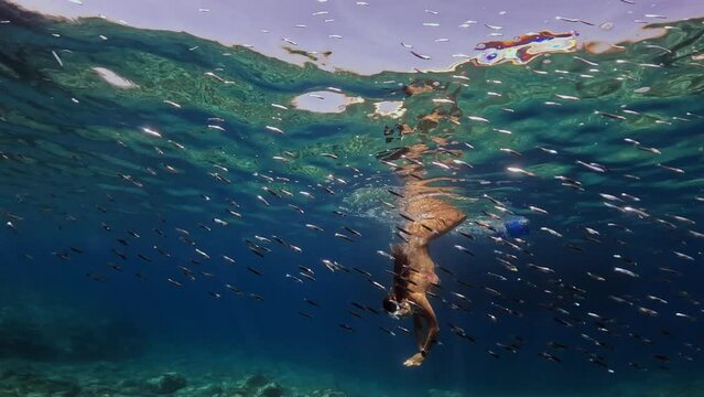 freediving girl swimming in a school of small fish