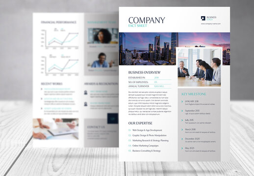 Business Company Fact Sheet Template 