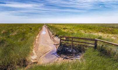 Blick auf einen Priel bei der Hamburger Hallig
