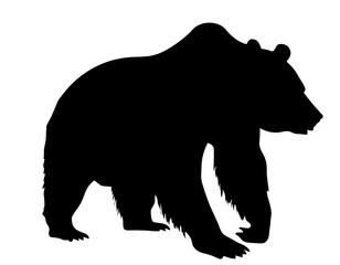 Fototapeta premium schwarze Silhouette Kontrast Bär isoliert auf weißen Hintergrund, Freisteller 