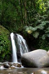 the view of a waterfall in the middle of the jungle