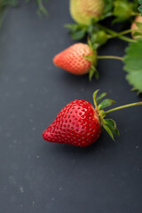 Close-up of ripe fresh strawberries on a farm