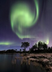 Scenic view of Norhtern Lights in Bymarka, Trondheim