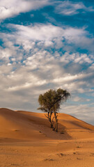 Lone tree in desert landscape against blue sky