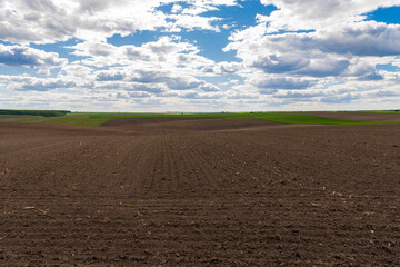 Agricultural field with blue sky and clouds. A plowed agricultural field. Agricultural landscape....