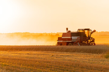 Agricultural harvester harvesting in the field at sunset. Harvesting with agricultural machinery....