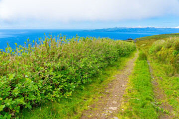 Naklejka premium surrounding area of the Fajãs de Santo Cristo route on the PR1 trail. Green landscape. São Jorge Island-Azores-Portugal