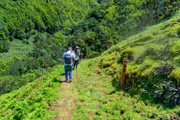 walkers heading towards Fajãs de Santo Cristo on the PR1 trail. São Jorge Island-Azores-Portugal