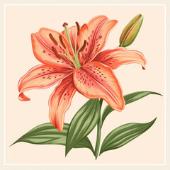 An elegantly illustrated Tiger Lily with vibrant orange petals and detailed artistic strokes.