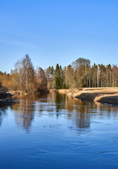 Winter forest beside a calm water body
