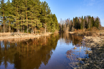 Winter forest beside a calm water bodyl