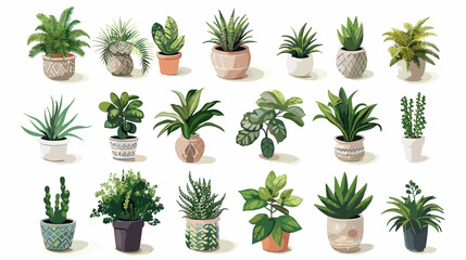 Decorative Houseplants Collection, Trendy Potted Plants in Isometric Style on White Background