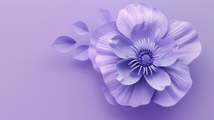 flower, pink, nature, beauty, flowers, spring, daisy, plant, bloom, flora, isolated, summer, blossom, purple, floral, petal, chrysanthemum, garden, petals, bouquet, beautiful, macro, color, closeup, d