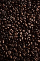 Close-up of freshly roasted coffee beans