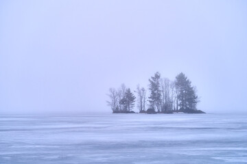 Fototapeta premium Trees on frozen water with an island in the center.