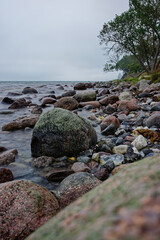 Natural beach on the Staberhuk cliffs, Fehmarn Island, Baltic Sea, Germany.