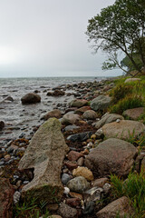 Natural beach on the Staberhuk cliffs, Fehmarn Island, Baltic Sea, Germany.