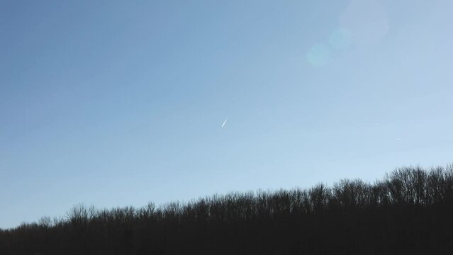Blue sky with chemtrail over trees of woods on a sunny day