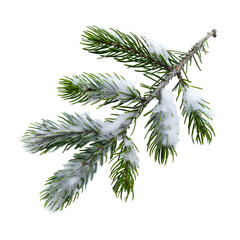 christmas branches, fir, pinetree and snow christmas