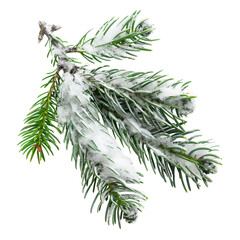 christmas tree branch with snow